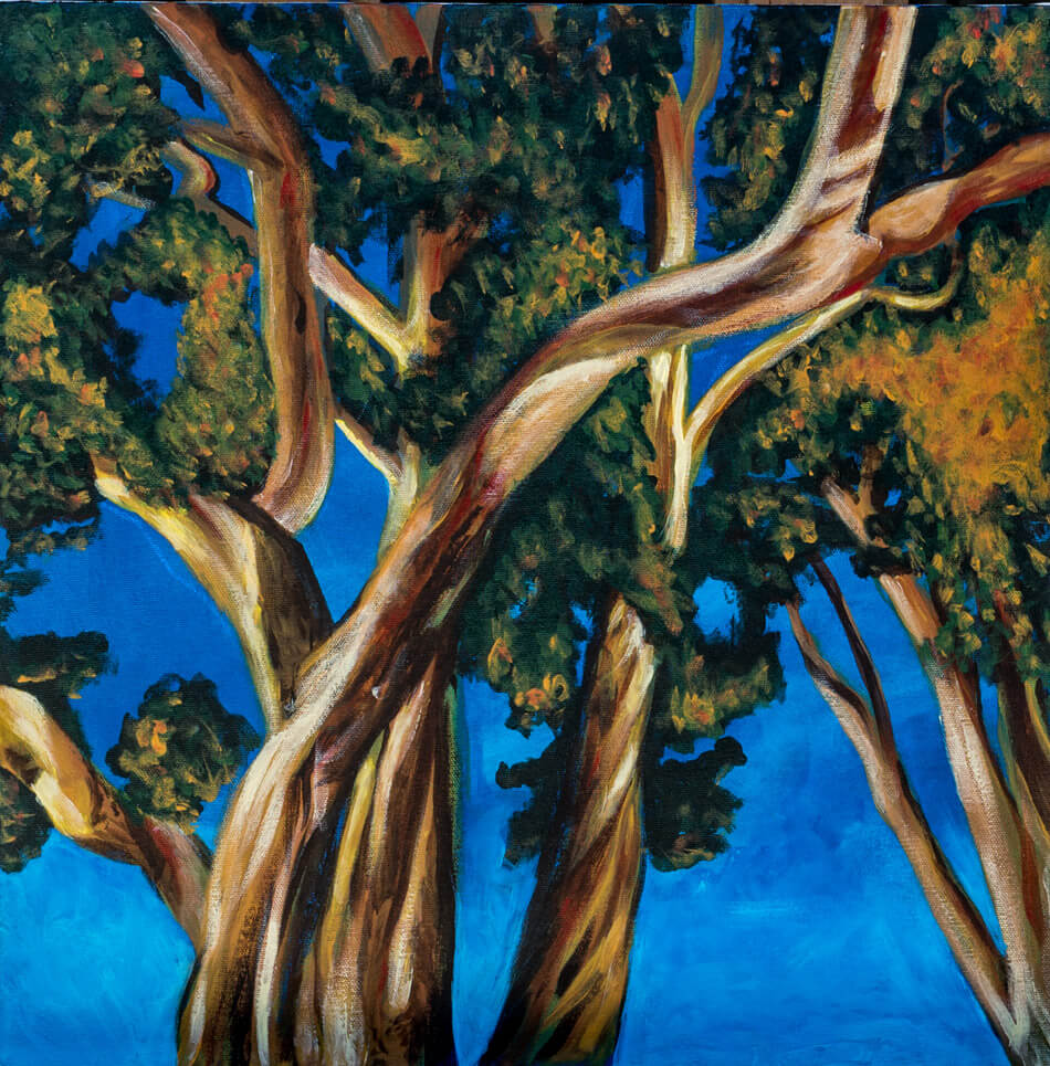 Portraits/Figures/Nature